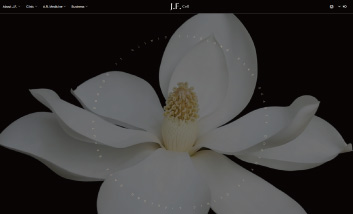 제이에프피부과